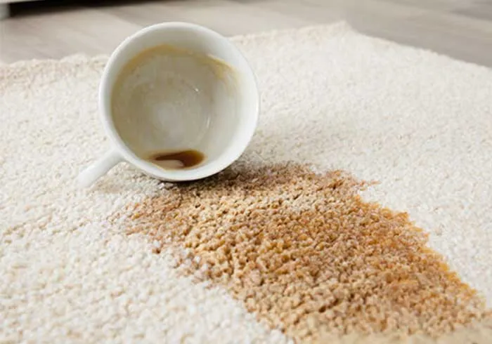 Area-Rug-care | LMK Floors